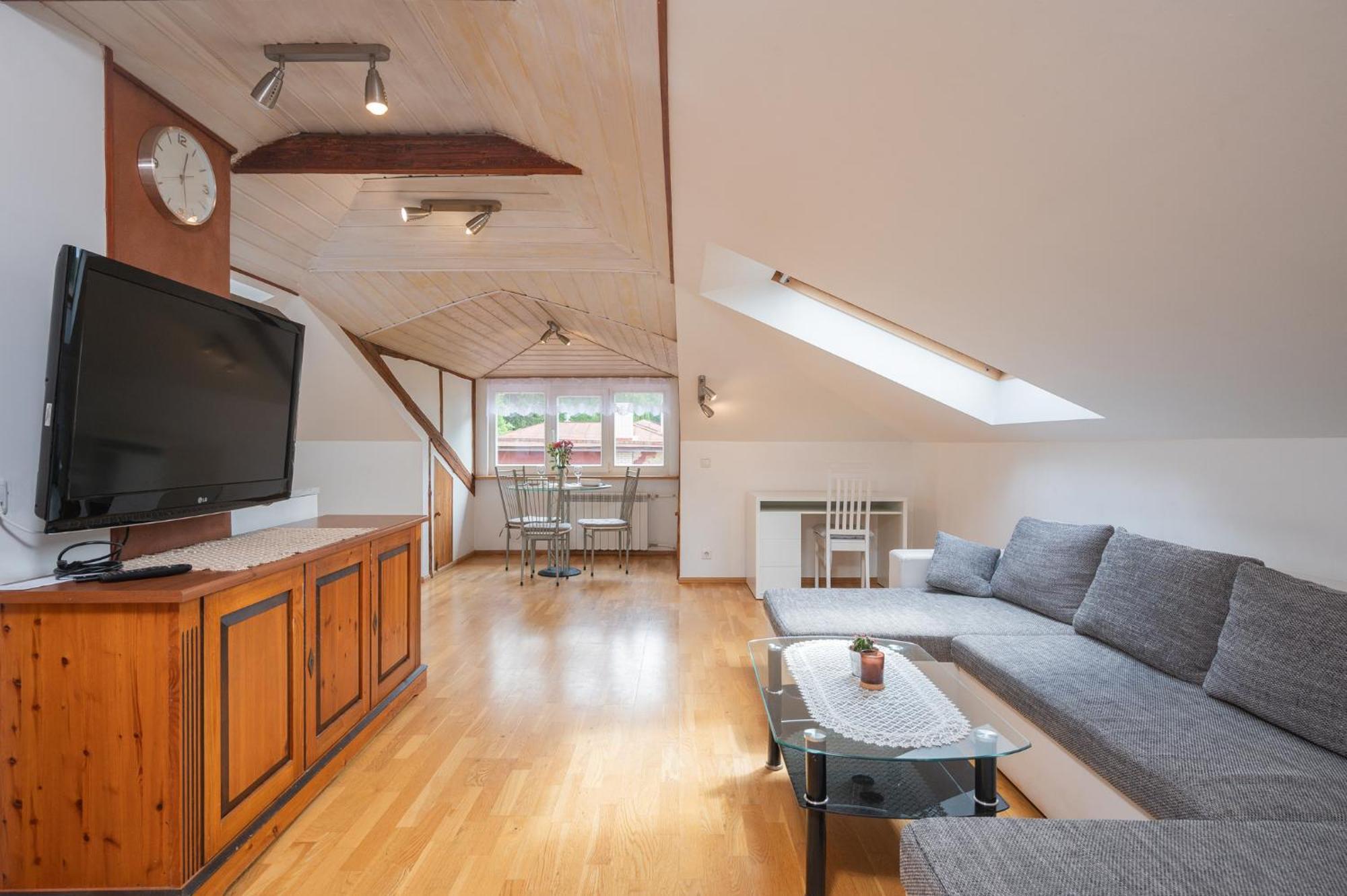 Penthouse With Rooftop Terrace Tartu