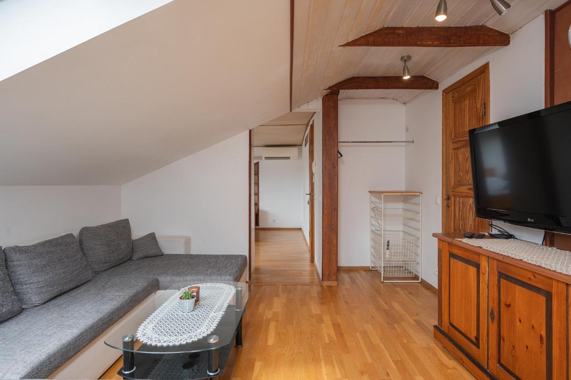 Penthouse With Rooftop Terrace Apartment Tartu