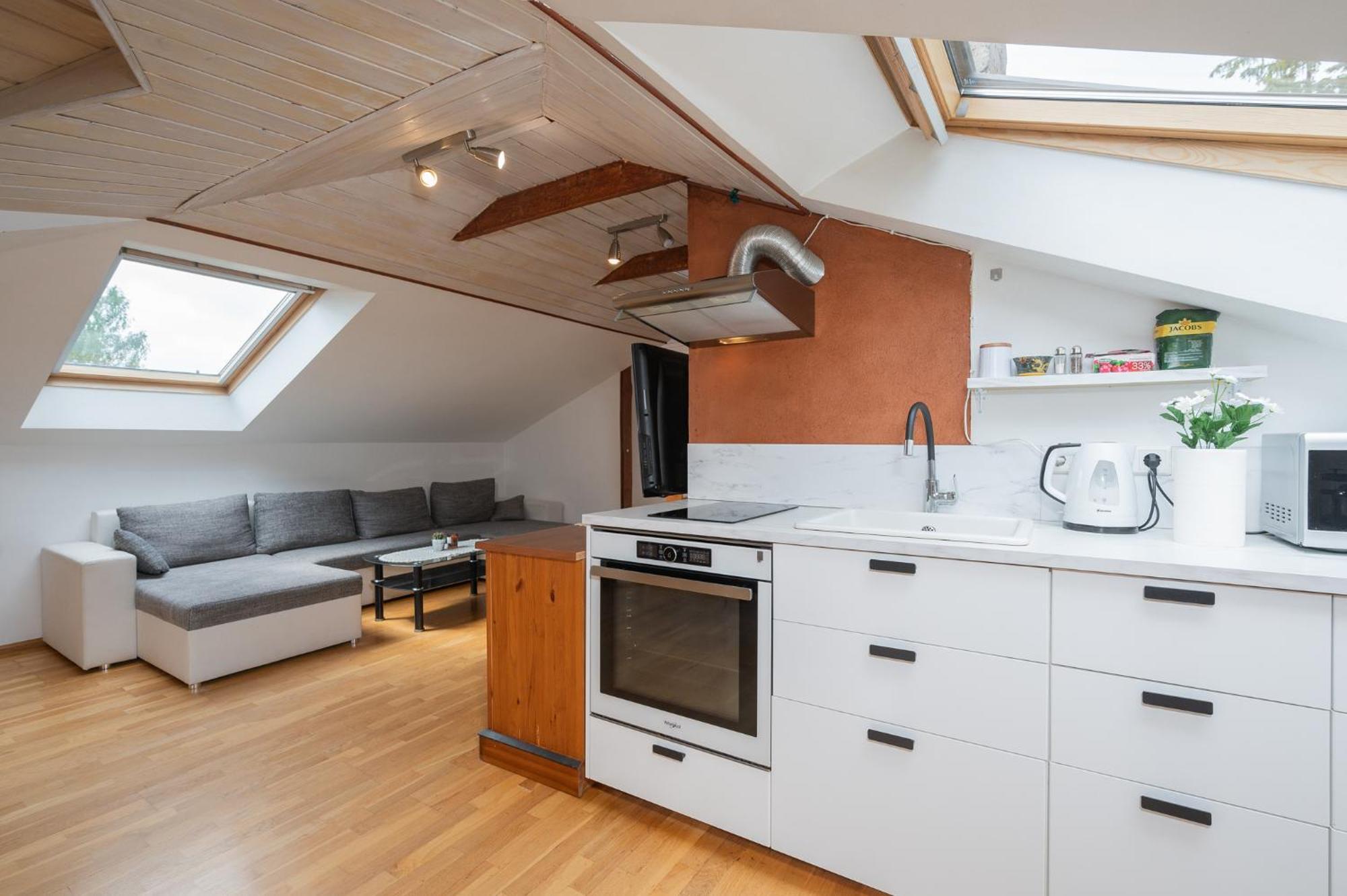 Apartment Penthouse With Rooftop Terrace Tartu
