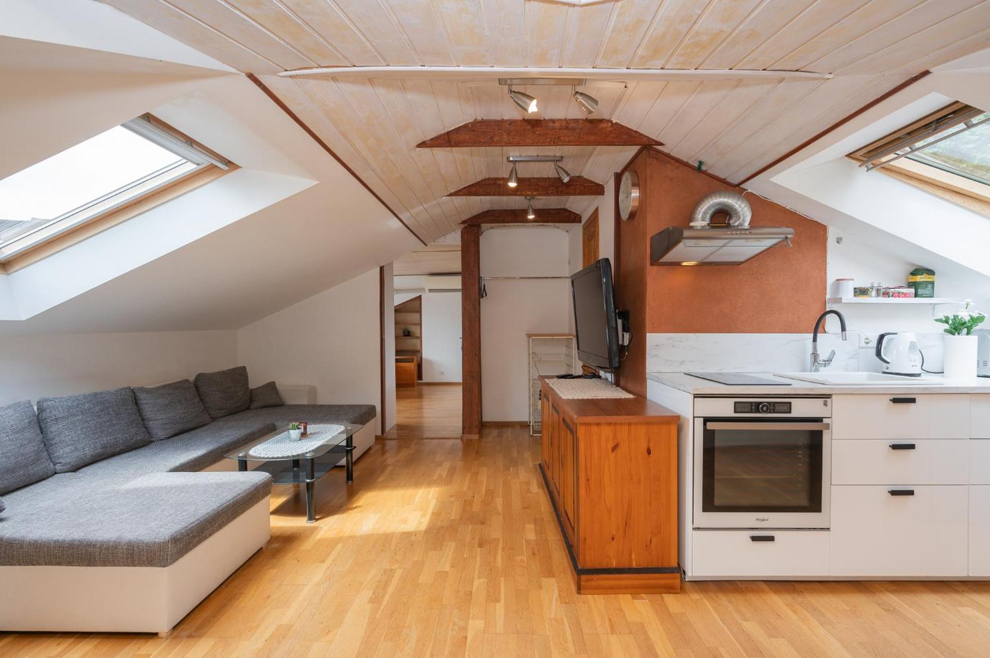 Penthouse With Rooftop Terrace * Tartu