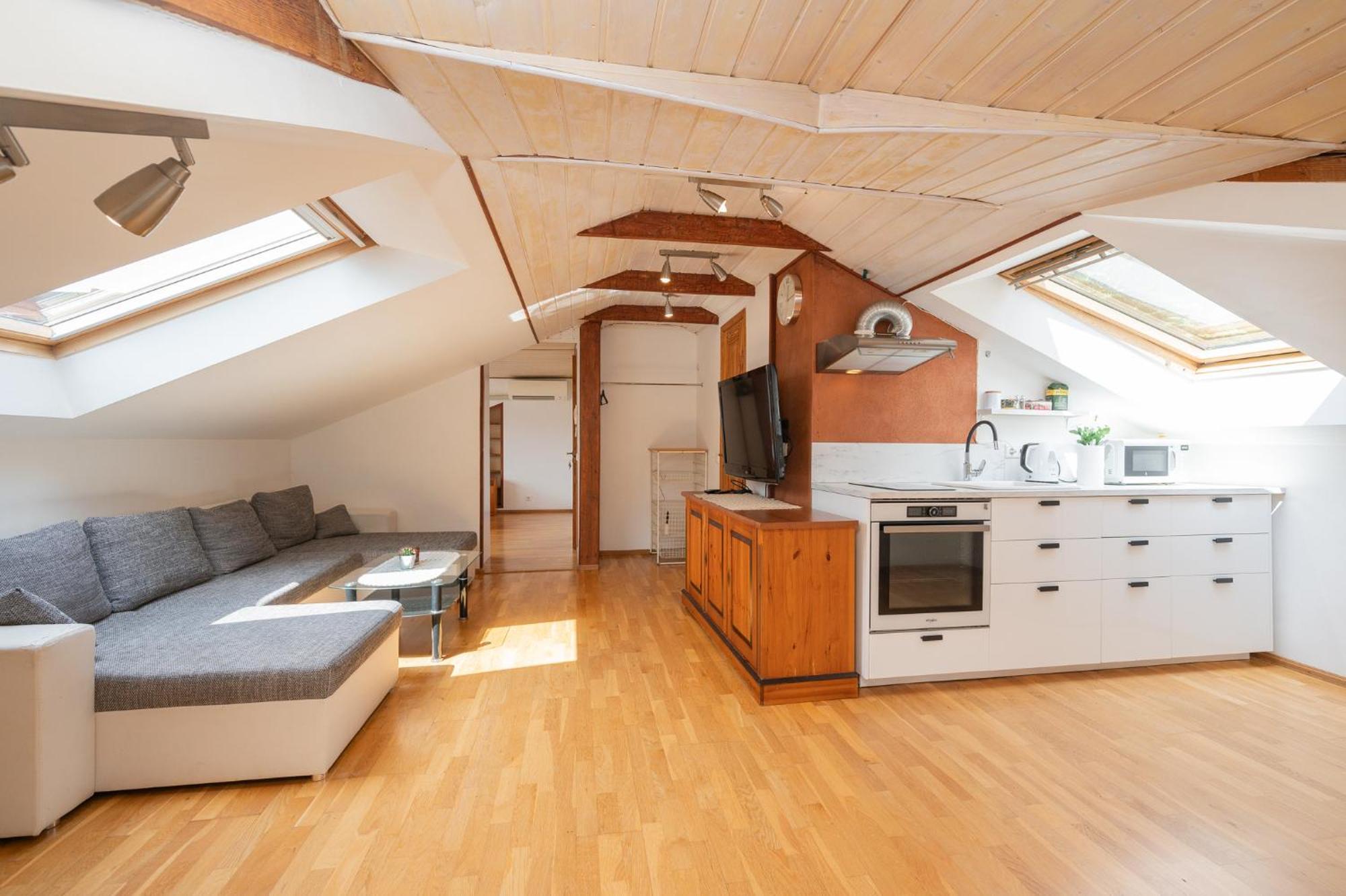 Penthouse With Rooftop Terrace Apartment *